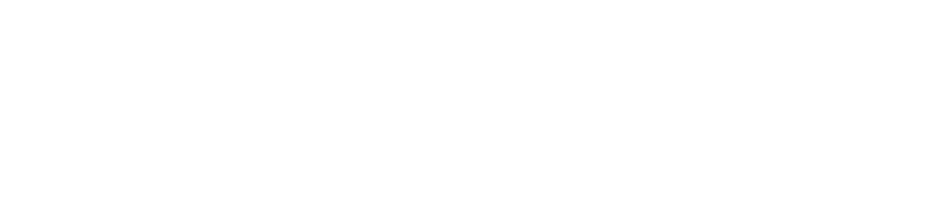 CleverSys